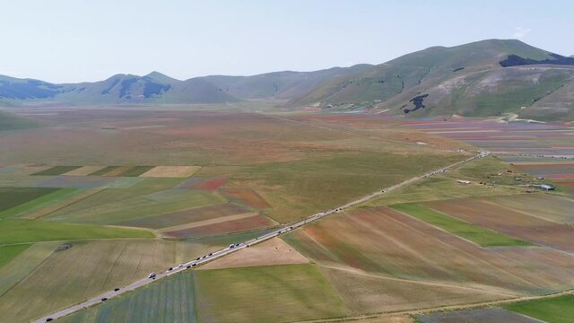 Flowering in Castelluccio di Norcia in the Sibillini Mountains National Park seen from the drone of the plain full of colorful flowers