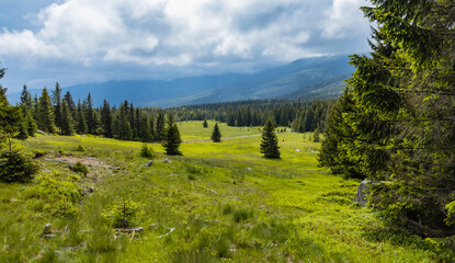 Obraz premium Panorama of Giant Mountains next to trail to Sniezka