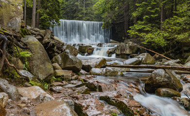 Fototapeta Wild Waterfall 