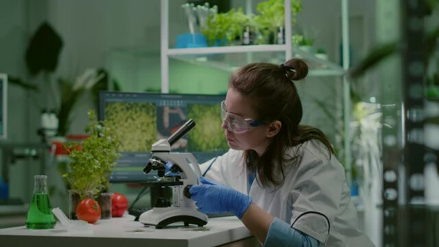 Biologist taking leaf sample putting into microscope observing chemical liquid. Scientist engineering analyzing organic gmo plants while researching in microbiology food laboratory