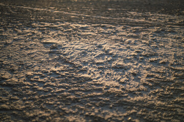 Paraje de playa en conil de la frontera,andalucia