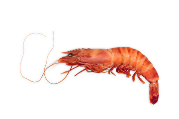 Cooked big tiger shrimp isolated on white.