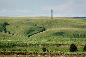 Power line 500kV passes through the plain