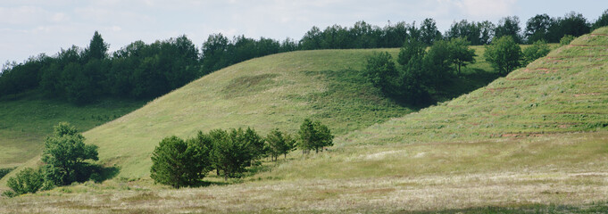 Trees on the small mountains (hills)