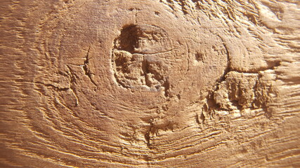 wood texture background