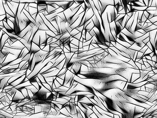 Black and white abstract background with branched lines.