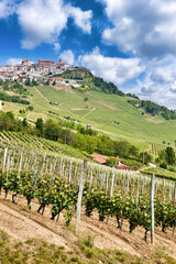 Fototapeta na wymiar La Morra. Traditional village close to Barolo and Alba, Piedmont Region, Italy.