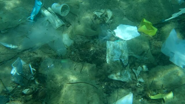 Dead Greater weever fish (Trachinus draco) hitting trapped in plastic bag lies inside plastic bag on the seabed among the medical face mask, plastic and other garbage. Plastic pollution of Ocean.  