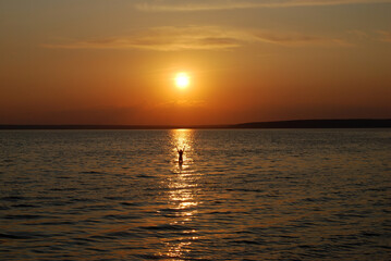 Obraz premium Swimming at sunset