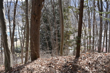 長野原大津　神明神社