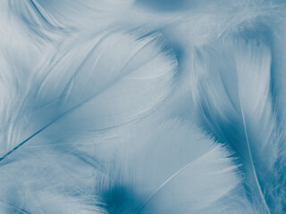 Beautiful abstract blue feathers on white background, white feather texture and blue background, feather wallpaper, blue texture banners, love theme, valentines day, light blue texture, white gradient