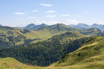 Mountain panoramic of the green austrian mountains at daylight with trees and green gras