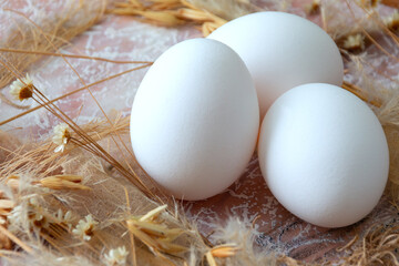 three white chicken eggs close-up against a dry-flower background