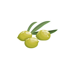 Green olives with leaves in cartoon style.  Flat simple design element for packaging, logos and other olive products. Vector illustration isolated on white.
