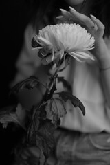 details of the body and the branch of the plant, fuzzy and delicate film black and white photo