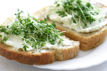 The idea for the simple and healthy breakfast - sandwiches with fresh home wholemeal bread with cottage cheese and Cress in close-up