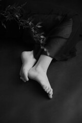 details of the body and the branch of the plant, fuzzy and delicate film black and white photo