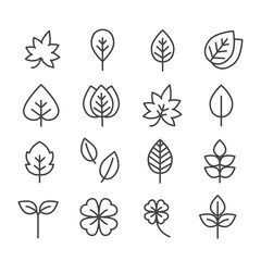 Set of leaf or plant icon. Natural concept for outline on white background