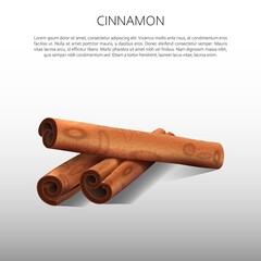 Culinary spices. Cinnamon. Abstract vector illustration of cinnamon on a light background with shadows. A blank for creativity