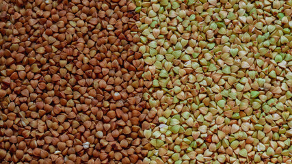 Buckwheat background. Green unroasted buckwheat and brown fried buckwheat