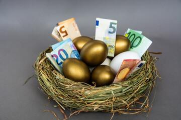 golden eggs in a nest with euro banknotes  on grey table, concept of enrichment and wealth 	
