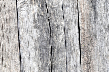 Fototapeta premium Old wooden boards and their surface close-up