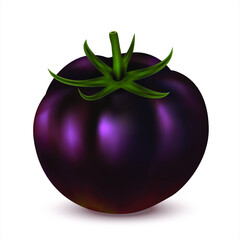 Black tomato isolated on white background. 3d realistic fresh tomato whole. Side view. Vector illustration EPS 10