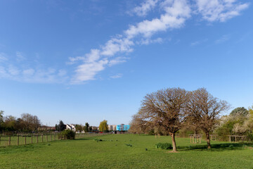 Lilac Departemental park in Grand Paris area. Vitry-sur-Seine city
