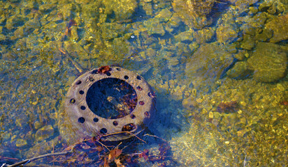 Metal rim discarded in the water polluting Jasenicka river in East Serbia near Deli Jovan mountain