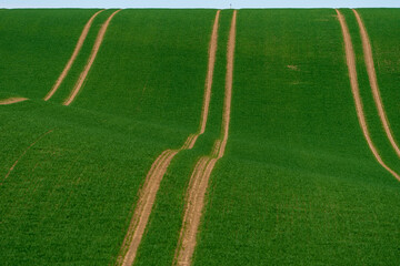 Fahrzeugspuren auf Feld