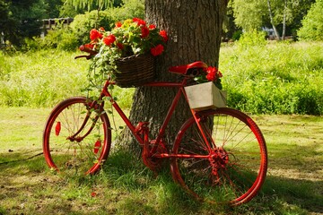 Fototapeta na wymiar Altes Fahrrad im Park von Eppenbrunn
