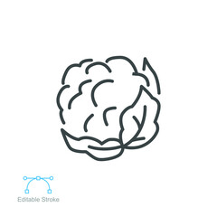 Cauliflower icon. Organic Vegetables logo Cabbage. vegetable and diet from the garden. Organic healthy food. Outline style. Editable stroke vector illustration design on white background. EPS 10