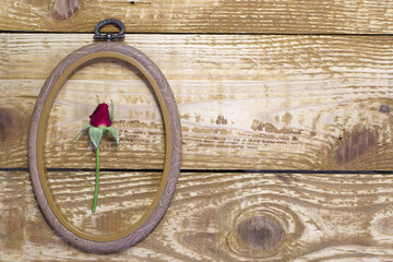 Small cute red rose bud in wooden textured frame on brown wood background close up