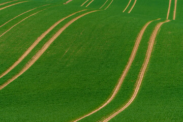 Fahrzeugspuren auf Feld