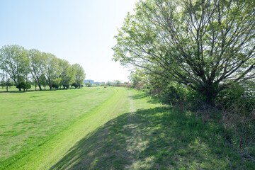 春の埼玉県川口市の風景　荒川河川敷　4月