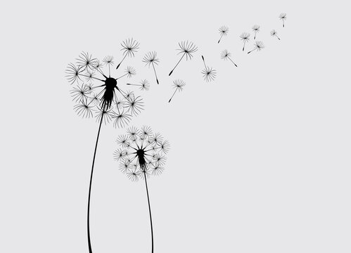recommend clip art: Dandelions on the cream background. Vector dandelion