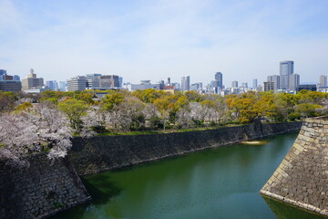 City landscape of Osaka, Japan with Osaka castle moat and Cherry blossoms - 大阪の都市景観...