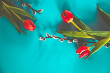 Tulips and catkins in flat lay type photo