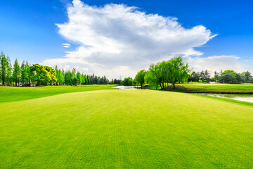 Green grass and trees in spring season.