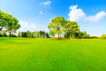 Zelfklevend Fotobehang Groen gras en bomen in het voorjaar. © ABCDstock