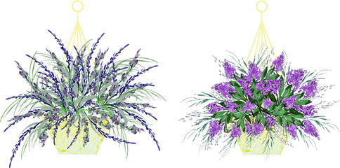 Vintage water color purple flower pot vector illustration flower art decoration element