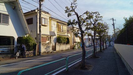 Japanese Residential Area Street View/ Japanese town