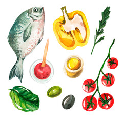Watercolor set with Mediterranean cuisine on a white background. Fresh fish, yellow bell peppers, cherry tomatoes, olive oil, tomato sauce, olives and spinach. Isolated food. Handmade watercolor.