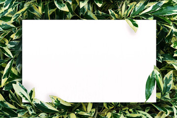white paper on green leaf background with center free space for montage text or product