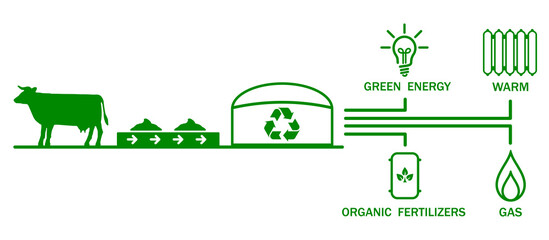 Recycling of animal waste and transformation of waste into biogas, electricity, fertilizers, warm - stock vector