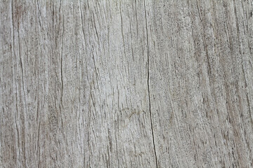 Brown wood texture. Abstract background, empty template
