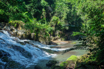 The water flows through the rocks in the middle of the forest. Small waterfall. Landscape about nature.