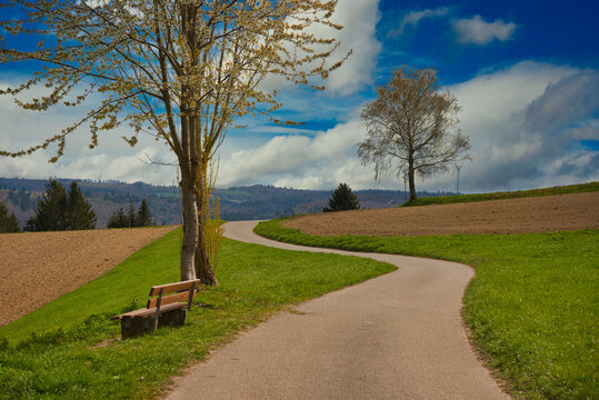 Auf den H&ouml;hen des Schutterlindenbergs in Lahr im Schwarzwald