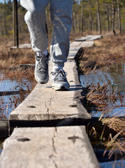 A person walking along duckboards over very wet swamp