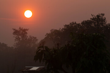 Obraz premium The early morning sun is shining beautifully.